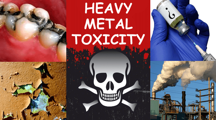 Laboratory testing for heavy metals such as lead, mercury, arsenic and cadmium